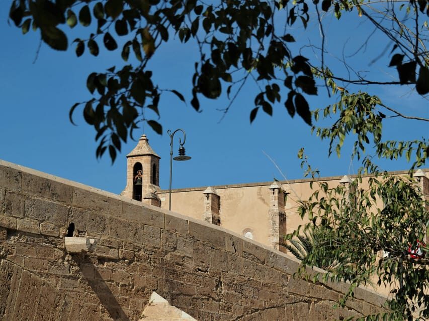 Valencia: Walking Tour of City Highlights with tastings - Analyzing the Price and Overall Value