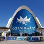 Valencia: Walking tour of the City of Arts and Sciences in Italian - Final Thoughts