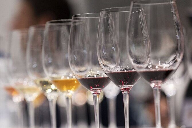 Valencia Wine Tasting and Tapas Experience - Who Will Love This Experience?