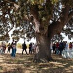 Valencia: Winery Visit with Vineyard Tour & Wine Tasting - Practical Considerations