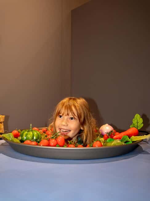 Valencia: World of Illusions Museum Entry Ticket - What You Can Expect During Your Visit