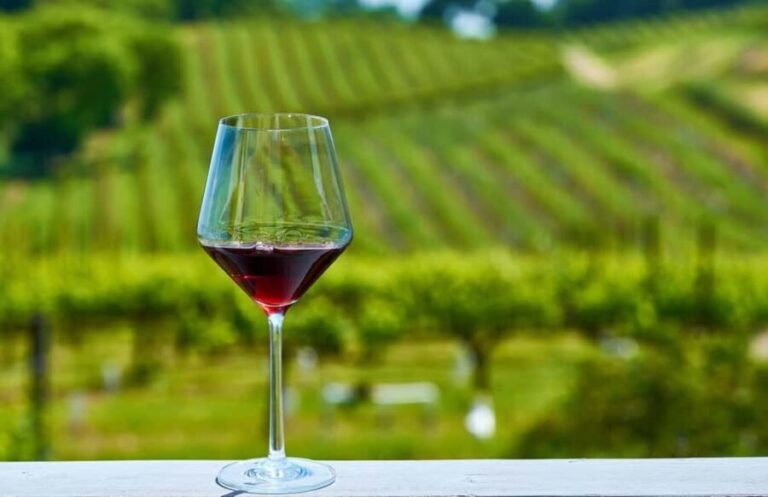 Valencian Tuscany by bike: guided bike tour and wine tasting - What Is Valencian Tuscany by Bike?