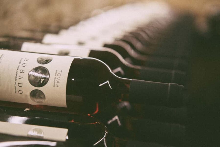 Valladolid: Tovar Wine Cellar Tour with Tasting - What You Can Expect During the Tour