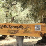 Valle de Sóller, Fornalutx: Olive grove tour, oil tasting, and local products - Final Thoughts