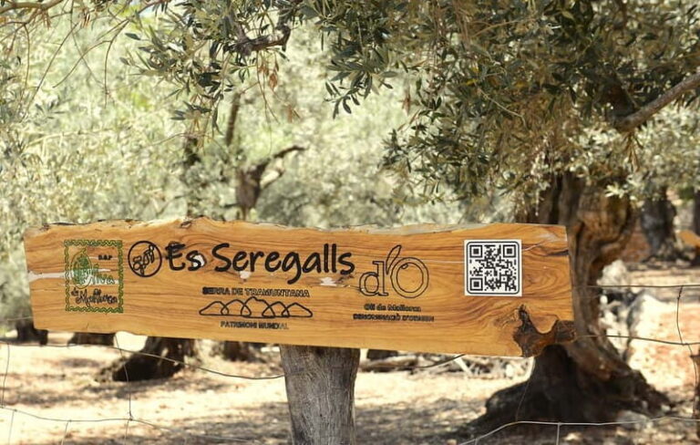 Valle de Sóller, Fornalutx: Olive grove tour, oil tasting, and local products - Final Thoughts