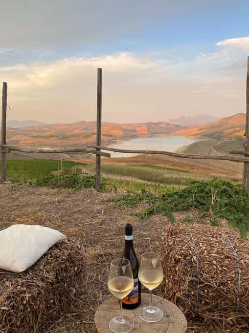 Valle del Belice: Informal and authentic tasting of artisan wines - A balanced look at the experience