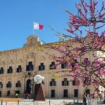 Valletta: City Walking Tour in a Small Group - What Can You Expect During the Tour?