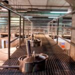 Valley of Tegueste: Wine Tour with Tasting at El Lomo Winery - What Sets This Tour Apart