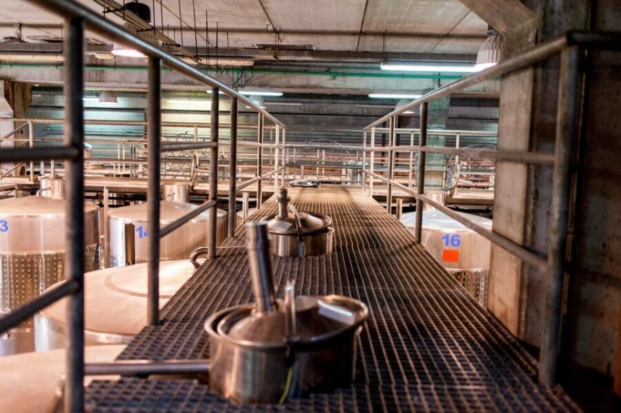 Valley of Tegueste: Wine Tour with Tasting at El Lomo Winery - What Sets This Tour Apart