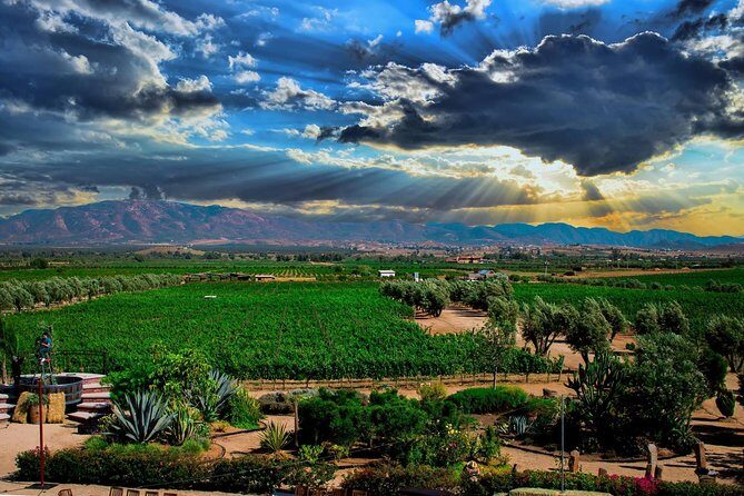 Valley tour /Bakuss/bloodlust/Relief/restaurant Elena/justina - A Deep Dive into the Tour Experience