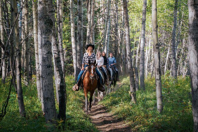 Valley Vista 1.5 Hour Horseback Trail Ride in Kananaskis - Final Thoughts
