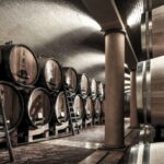 Valpolicella: 1.5-Hour Guided Winery Tour with Wine Tasting - What to Expect from the Tour