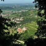 Valpolicella: Guided tour of the winery with tastings - Exploring the Experience