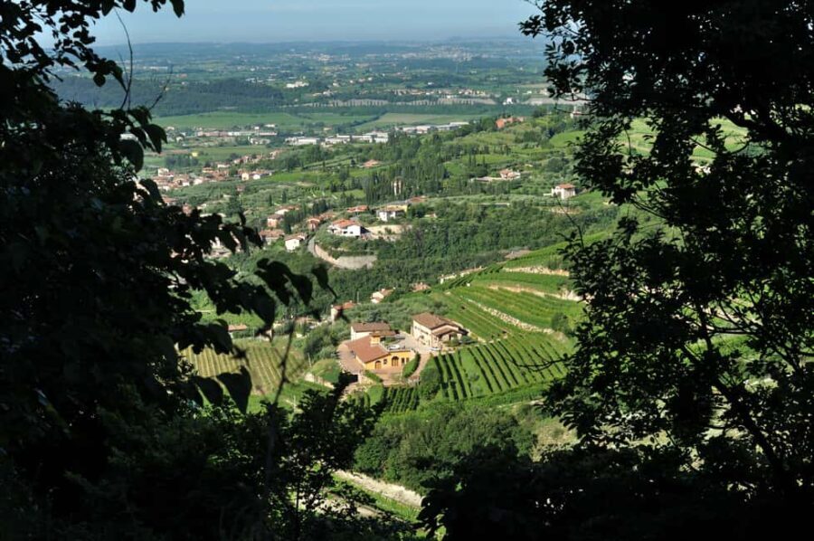 Valpolicella: Guided tour of the winery with tastings - Exploring the Experience