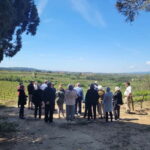 Valpolicella: Guided Wine Tour with Tastings of Local Wines - What to Expect from Each Stop