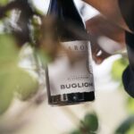 Valpolicella: Lunch or Dinner tasting with Amarone - Final Thoughts: Who Should Consider This Experience?