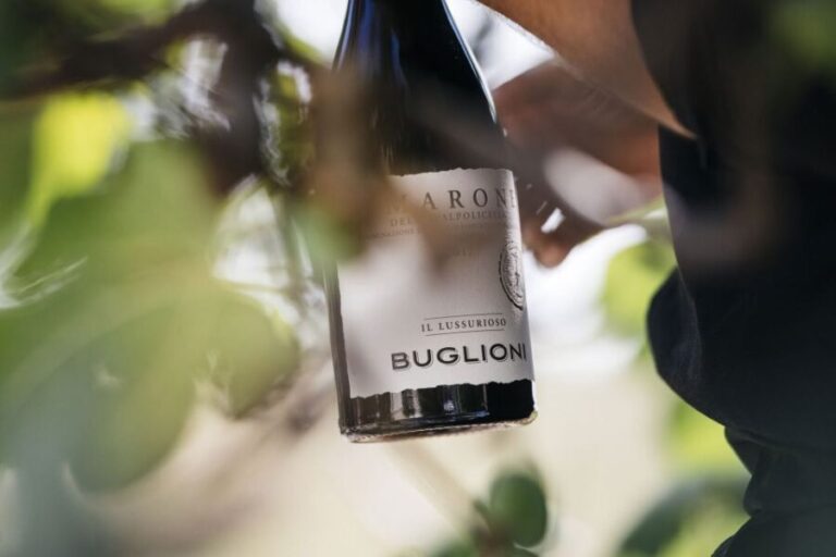 Valpolicella: Lunch or Dinner tasting with Amarone - Final Thoughts: Who Should Consider This Experience?