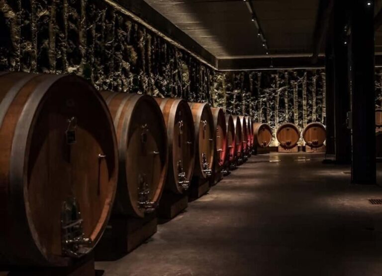 Valpolicella: Winery Tour with Picnic and Wine Tasting - Who Should Consider This Tour?