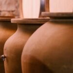 Valpolicella: Winery Tour with Red Wine&Cicchetti tasting - Who Should Consider This Tour?