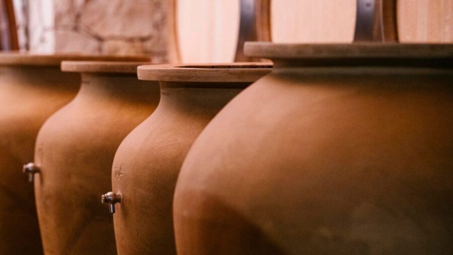 Valpolicella: Winery Tour with Red Wine&Cicchetti tasting - Who Should Consider This Tour?