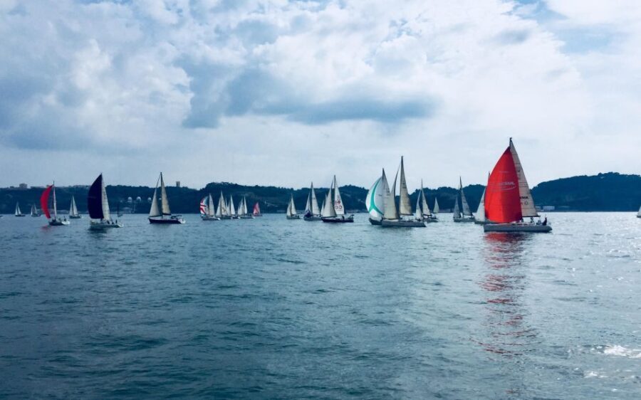 Van tour covering Lisbon highlights and Cascais&Sintra. - What the Tour Includes and Excludes