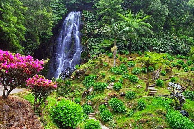 Van Tour Nordeste - What Travelers Are Saying