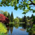 Vancouver Day Tour | Visit The Most Unique Places! Private - The Experience: What Travelers Can Expect