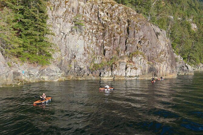 Vancouver: Snorkeling Seals Kayaking Scenic Boat Tour - The Itinerary: What to Expect