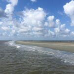 Vanishing Mile Isle Beachcomber Tour - Final Thoughts