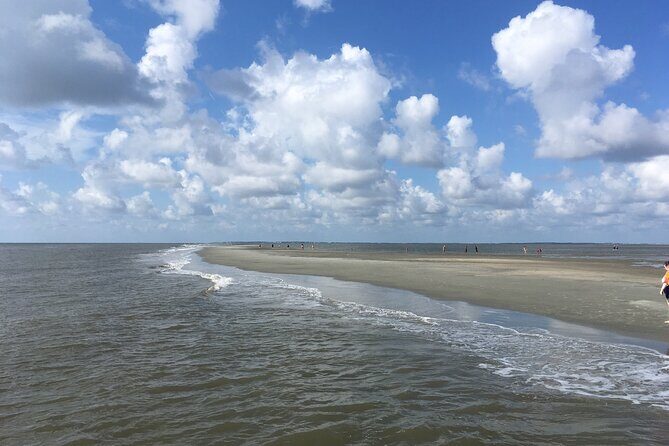 Vanishing Mile Isle Beachcomber Tour - Final Thoughts