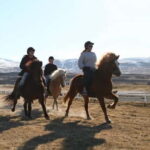 Varmahlid: 1-Hour Icelandic Horse Riding Tour - The Unique Charm of Icelandic Horses