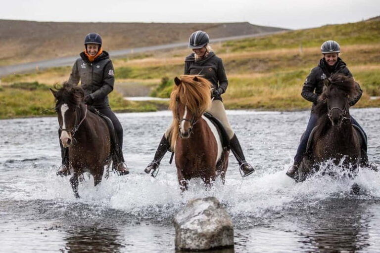 Varmahlid: Viking Horse Riding Tour - The Experience in Real Terms