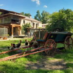 Varna: Guided VIP Tour - The Experience of the Tour