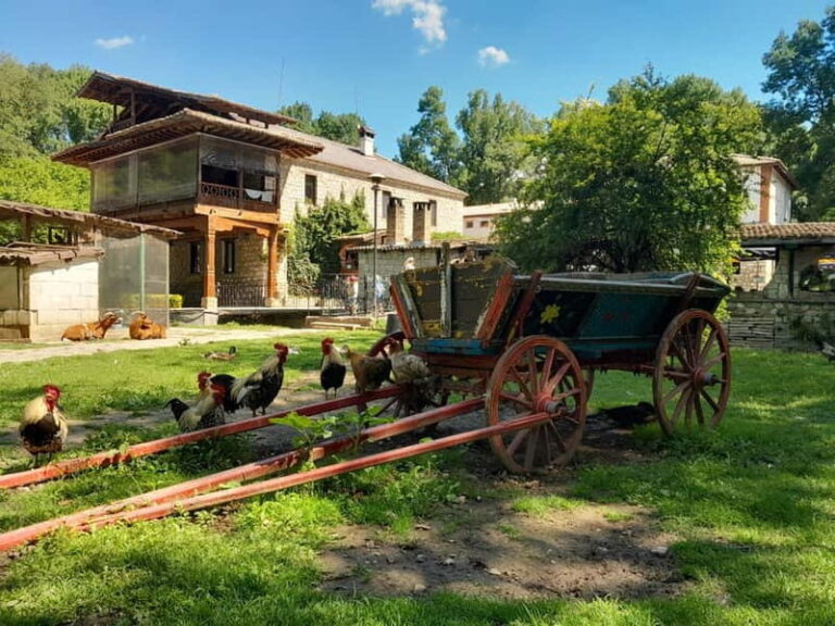 Varna: Guided VIP Tour - The Experience of the Tour