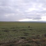 Vashlovani National Park Day Trip from Tbilisi - The stops and what to expect