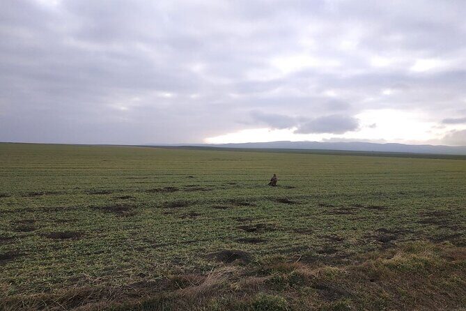 Vashlovani National Park Day Trip from Tbilisi - The stops and what to expect