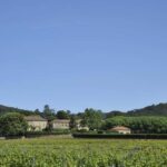 Vaucluse - Tasting & tour at Château Saint Estève: La Verticale - Key Points