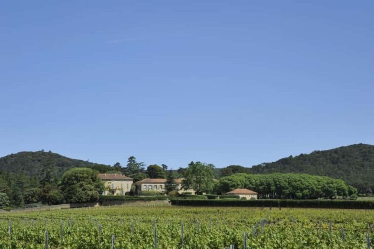 Vaucluse - Tasting & tour at Château Saint Estève: La Verticale - Key Points