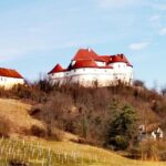 Veliki Tabor Castle, Kumrovec Museum with Wine Tasting - Authentic Perspectives and What You’ll Love