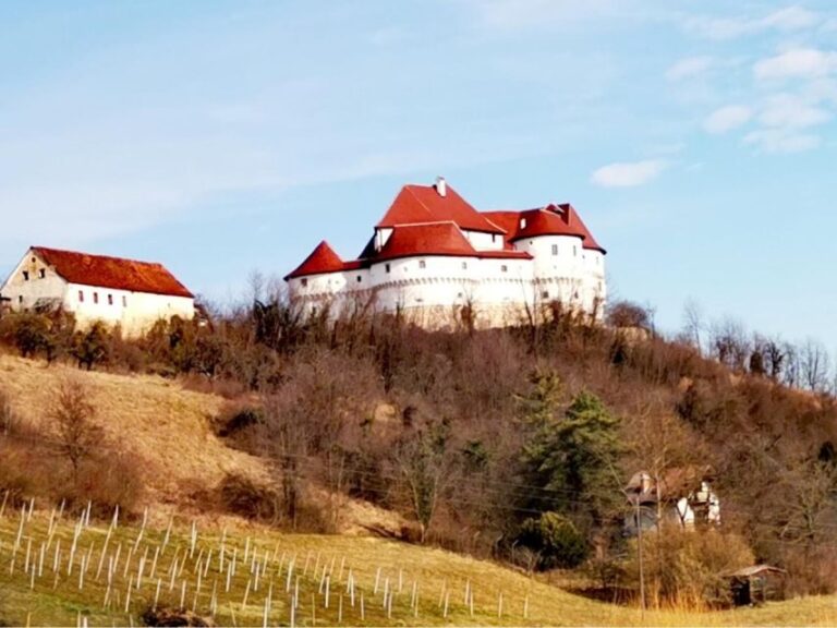 Veliki Tabor Castle, Kumrovec Museum with Wine Tasting - Authentic Perspectives and What You’ll Love