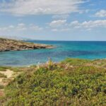 Vendicari Nature Reserve Tour - The Value of $104.08