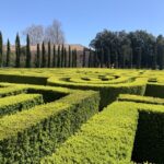 Venice: Borges Labyrinth Experience on San Giorgio Island - Practical Details and What You Need to Know