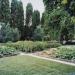 Venice: Convent Garden of Redentore Entry Ticket - Exploring Artistic and Cultural Elements