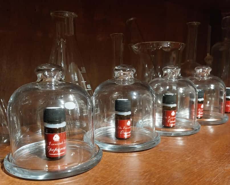 VENICE, FRANKINCENSE AND MYRRH! A JOURNEY ON AROMATICS TRADE - Deep Dive into the Experience