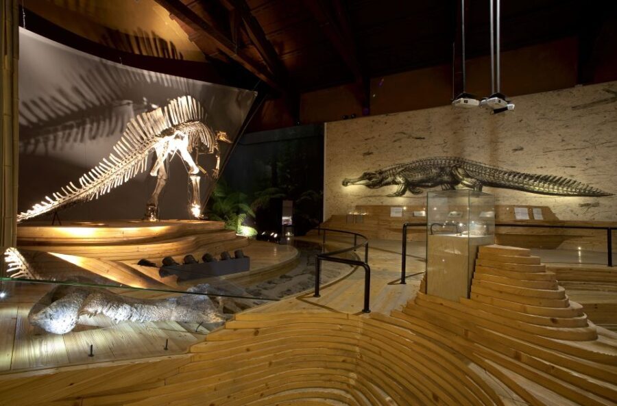 Venice: Natural History Museum Entry Ticket - Practical Details and Tips