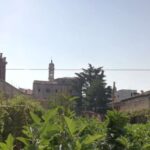 Venice: Secret City Gardens Walking Tour - What We Love & Consider