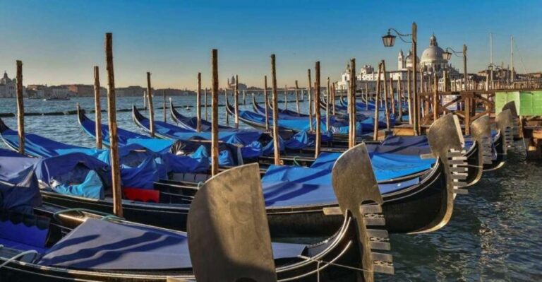 Venice: Shared Gondola Tour - Who Would Love This Tour?