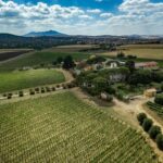 Venosa: Re Manfredi Winery Tour with Tastings - Who is This Tour Best For?