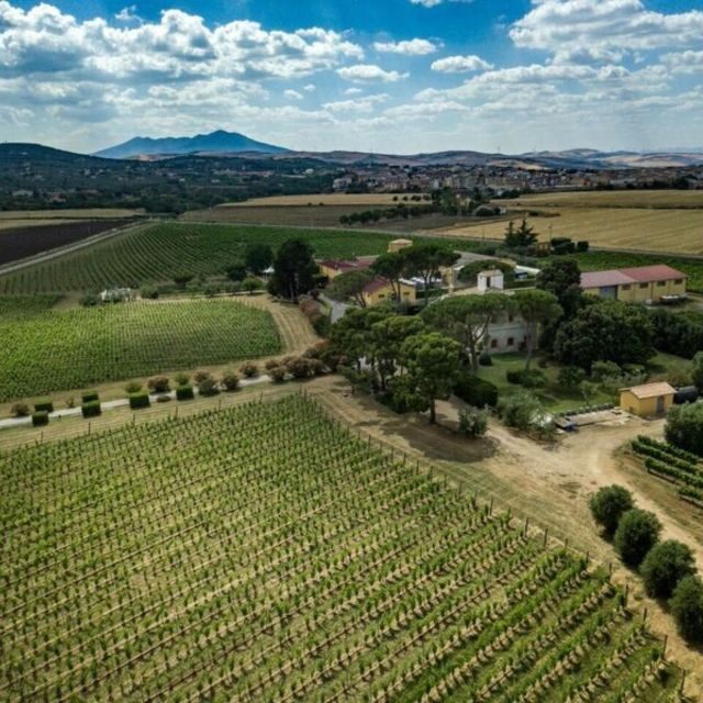 Venosa: Re Manfredi Winery Tour with Tastings - Who is This Tour Best For?