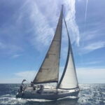 Vermouth on Catamaran: A Gastronomic Experience in Barcelona - Who Will Love This Tour?